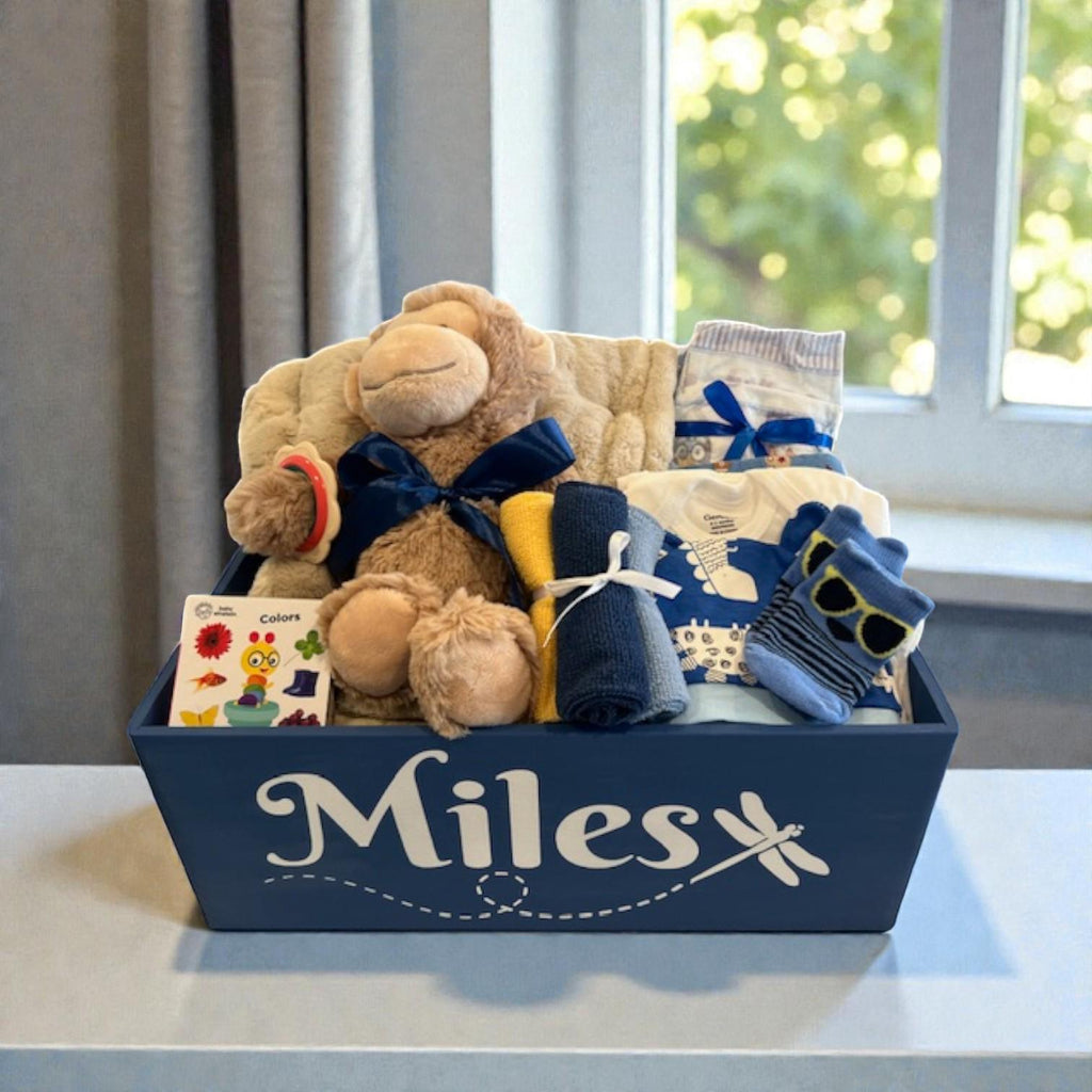 Newborn Baby Boy Gift Basket